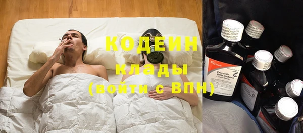 хмурый Мегион