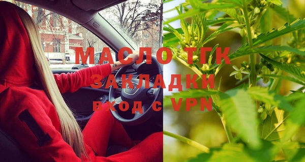 стаф Медногорск