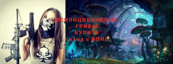 стаф Медногорск