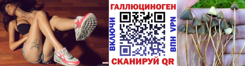 Галлюциногенные грибы Psilocybine cubensis Феодосия